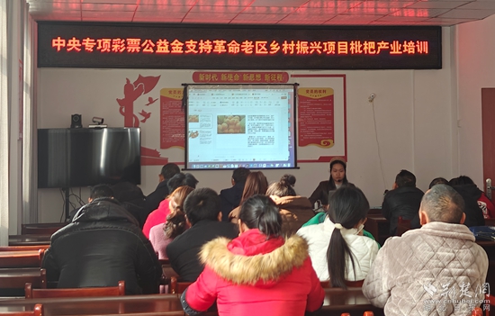 通山縣 老區(qū).jpg